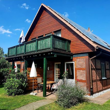 Ferienhaus Sasse Ferienwohnungen Mit Garten & Grill Molschow エクステリア 写真